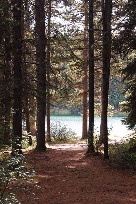 Johnson Lake